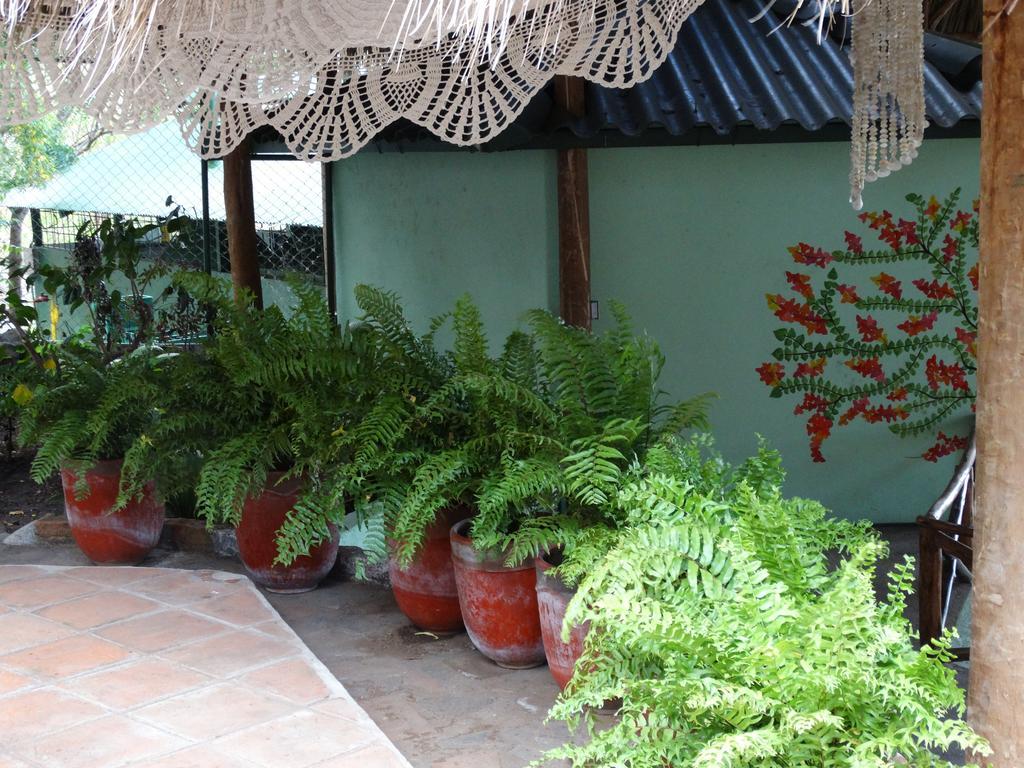 Apoyo Resort 마사야 외부 사진
